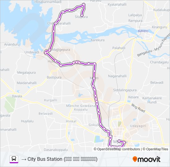 303S bus Line Map