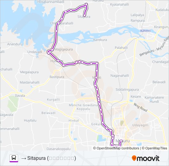 303S bus Line Map