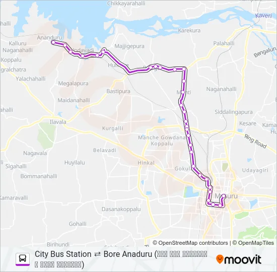 306A Bus Line Map