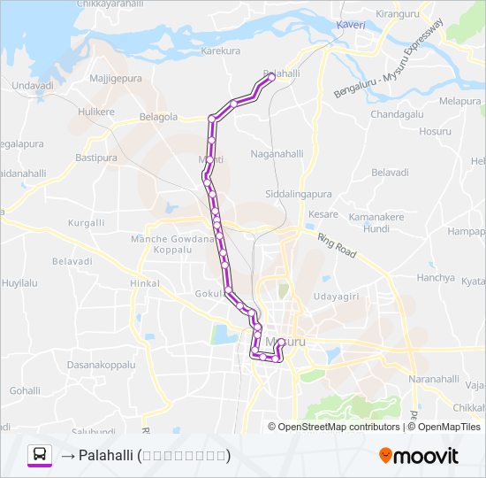 307P bus Line Map