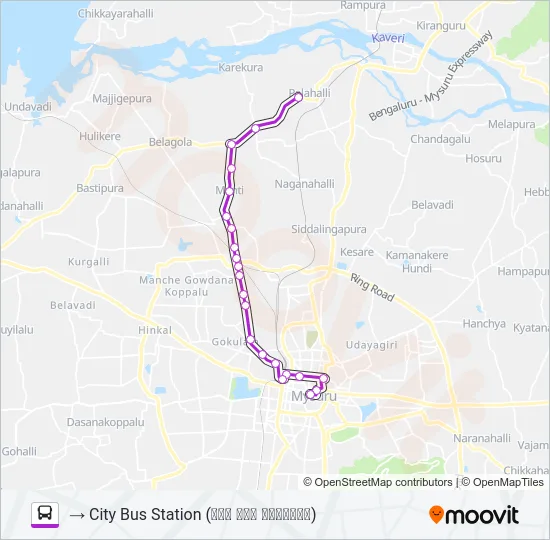 307P Bus Line Map