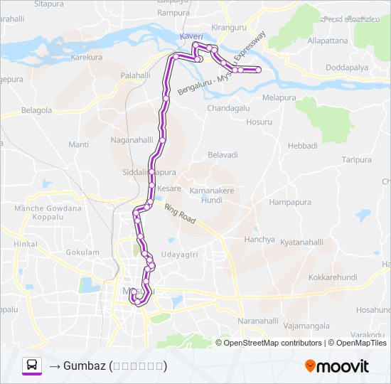 313A bus Line Map