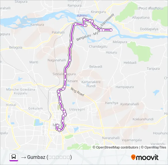 313A Bus Line Map