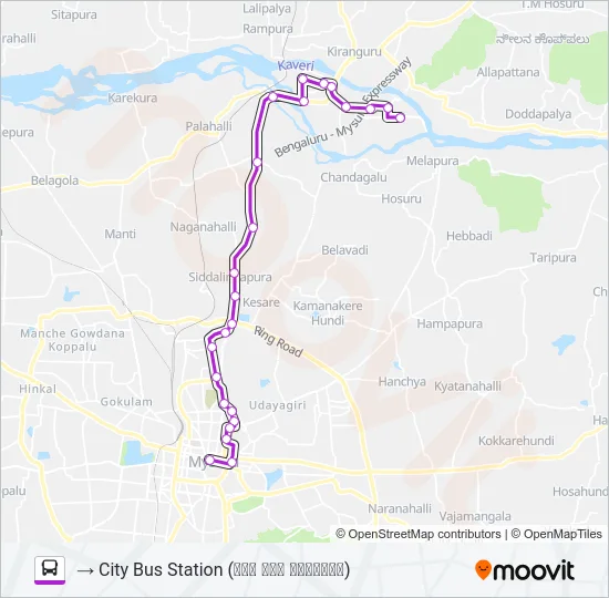 313A Bus Line Map