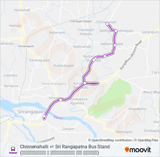 313C bus Line Map