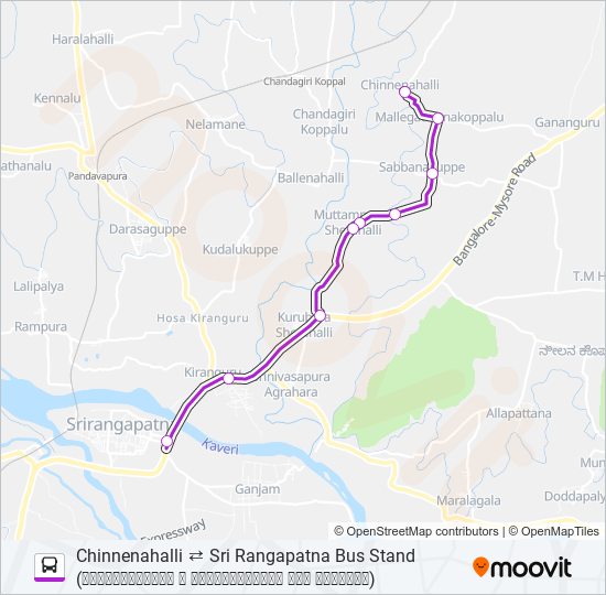 313C bus Line Map