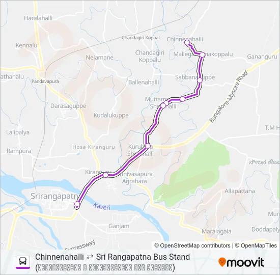 313C Bus Line Map