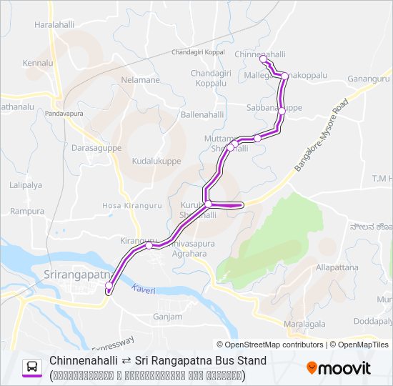 313C Bus Line Map