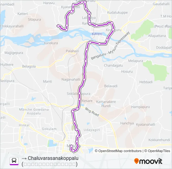 313D Bus Line Map