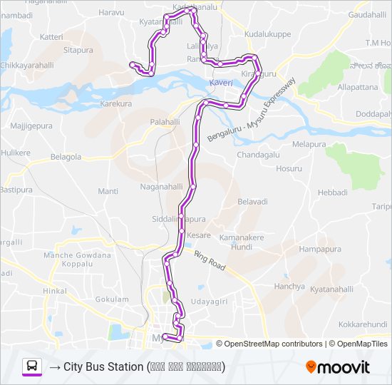 313D Bus Line Map