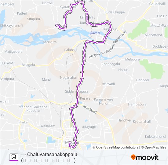 313D bus Line Map