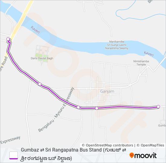 313G bus Line Map