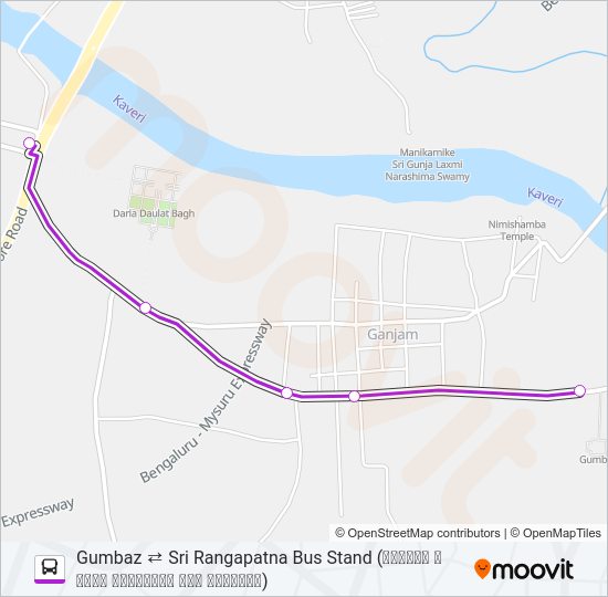 313G Bus Line Map