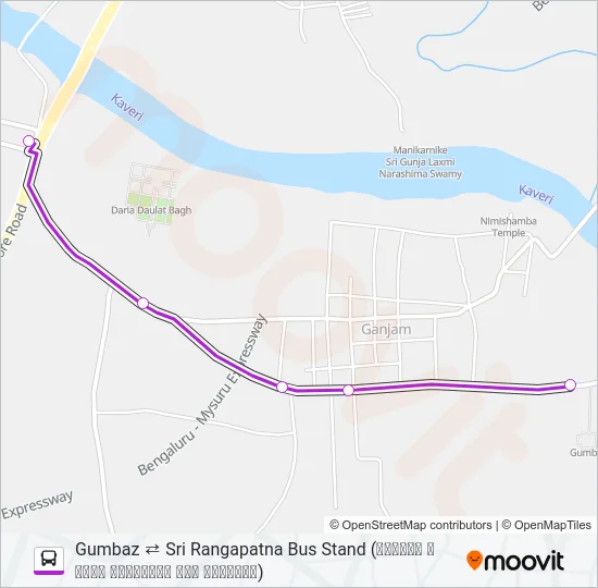 313G Bus Line Map