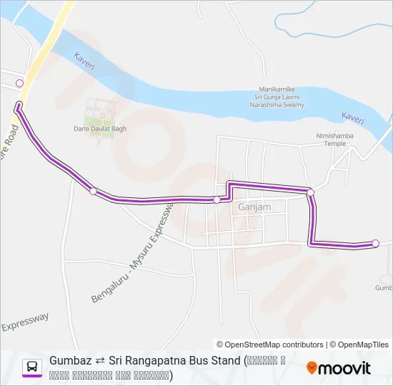 313G Bus Line Map