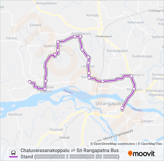 313K bus Line Map