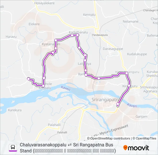 313K Bus Line Map