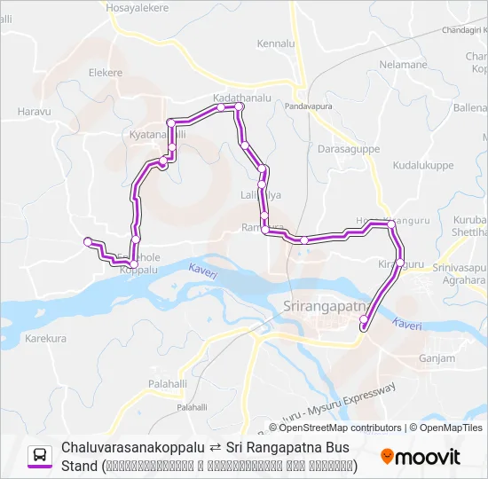 313K Bus Line Map