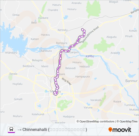 313M bus Line Map