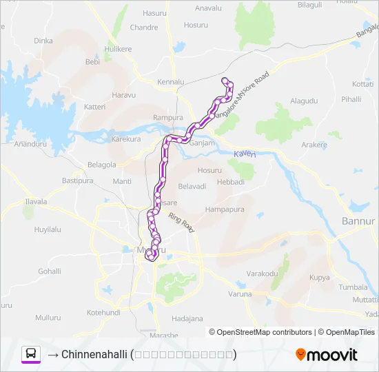 313M Bus Line Map