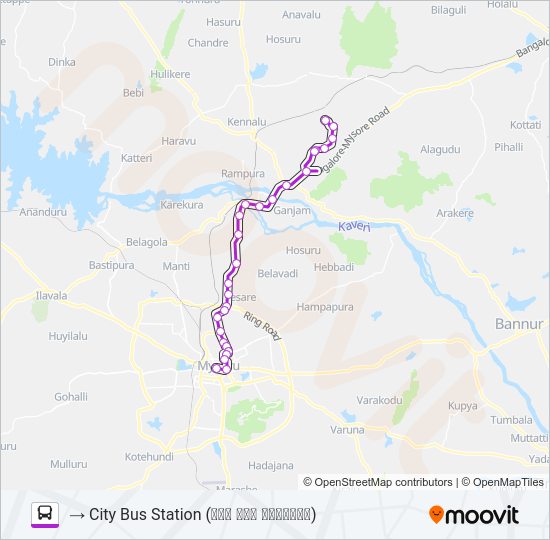 313M Bus Line Map