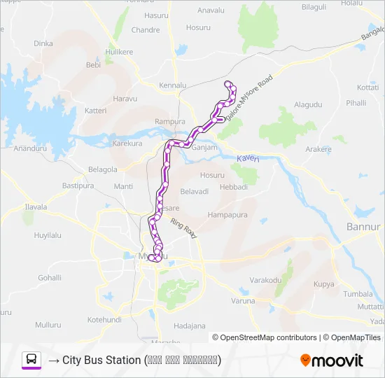 313M Bus Line Map
