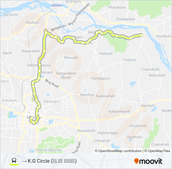 315M Bus Line Map