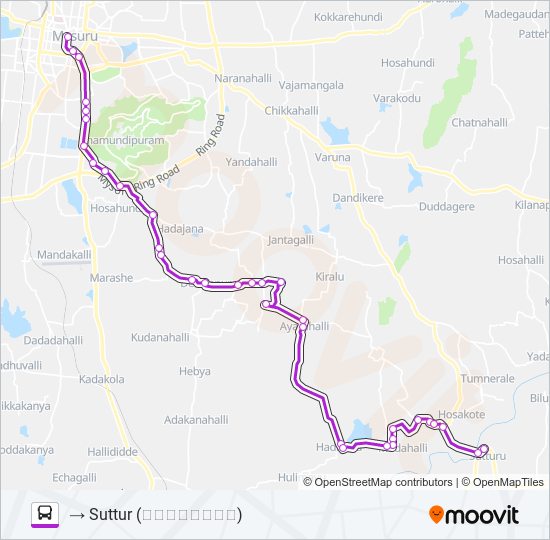 205MG bus Line Map