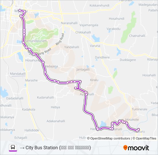 205MG Bus Line Map