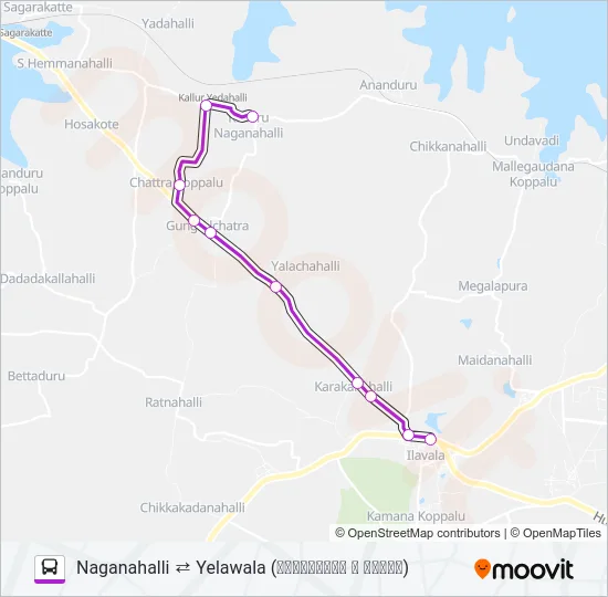 272YN Bus Line Map