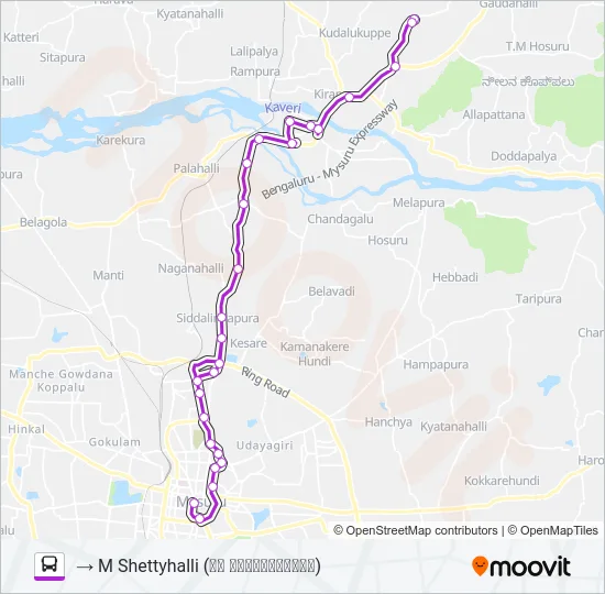 313MS Bus Line Map
