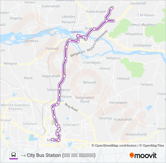 313MS Bus Line Map
