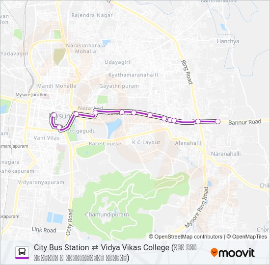 333VV Bus Line Map