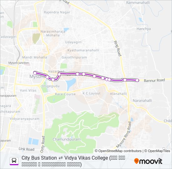 333VV bus Line Map