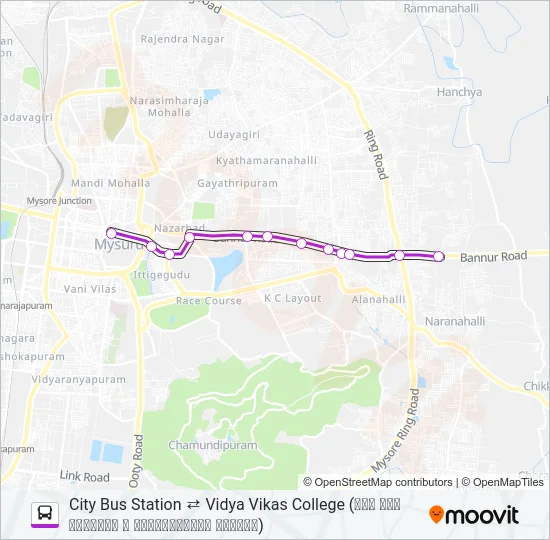 333VV Bus Line Map