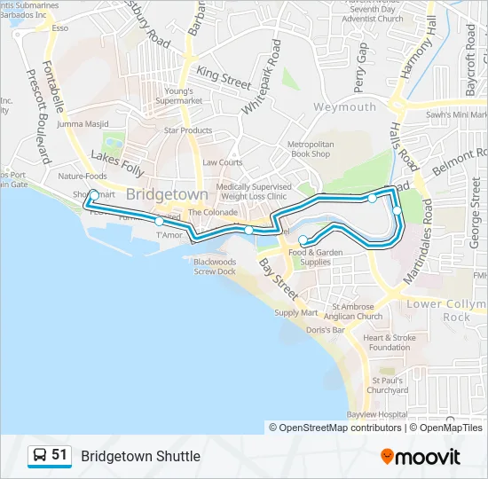 51 Bus Line Map