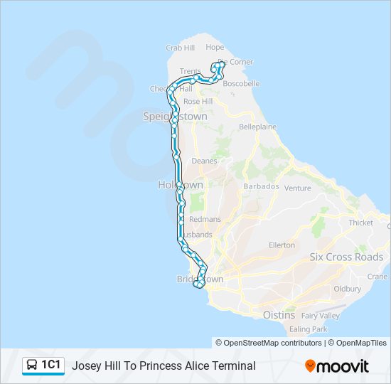 1C1 Bus Line Map