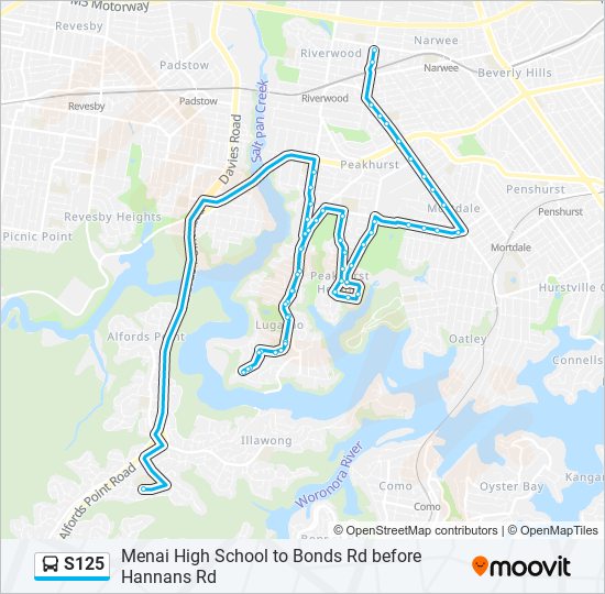 s125 Route: Schedules, Stops & Maps - Bonds Road (Updated)