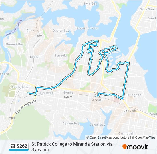 S262 bus Line Map