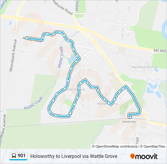 901 Route: Schedules, Stops & Maps - ANZAC Rd Opp Secombe Pl (Updated)