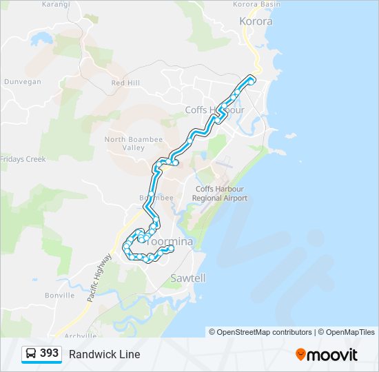 393 Route: Schedules, Stops & Maps - Park Beach Plaza (Updated)