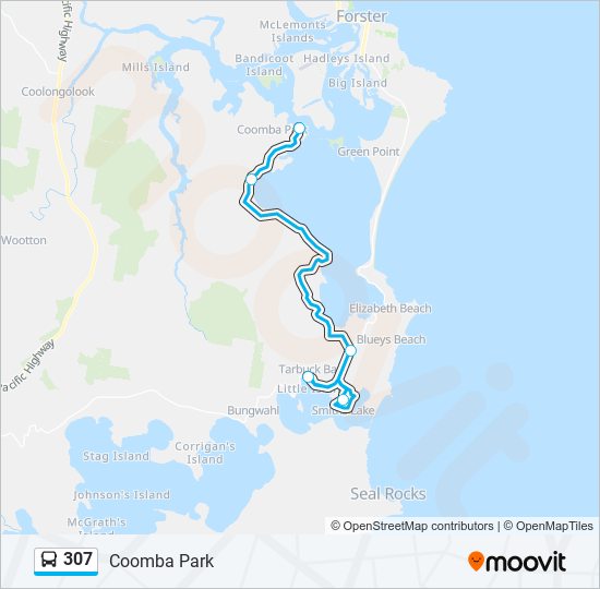 307 Route Schedules, Stops & Maps Coomba Park (Updated)