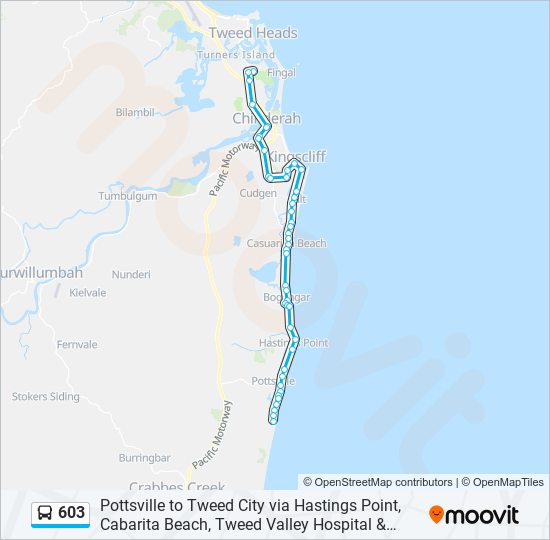 603 Route: Schedules, Stops & Maps - Tweed City (Updated)