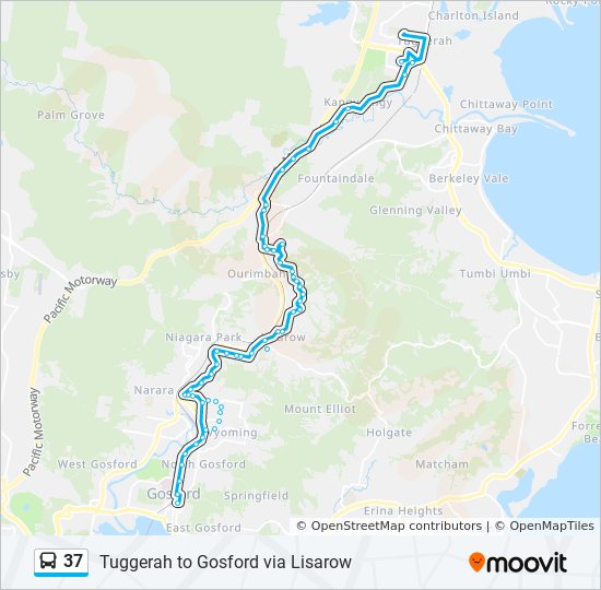 37 bus Line Map