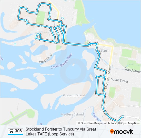 303 Route: Schedules, Stops & Maps - Forster (Updated)