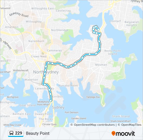 Mapa de 229 de autobús