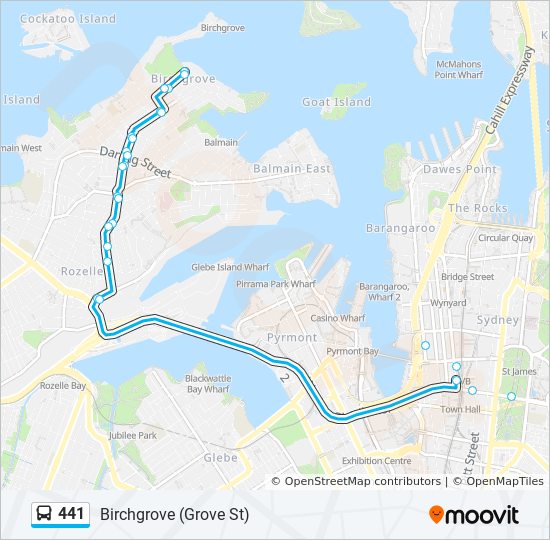 441 Route: Schedules, Stops & Maps - Birchgrove (Grove St) (Updated)