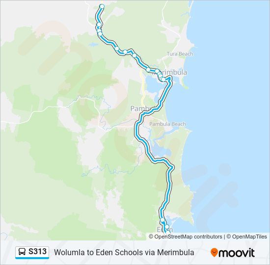 S313 bus Line Map