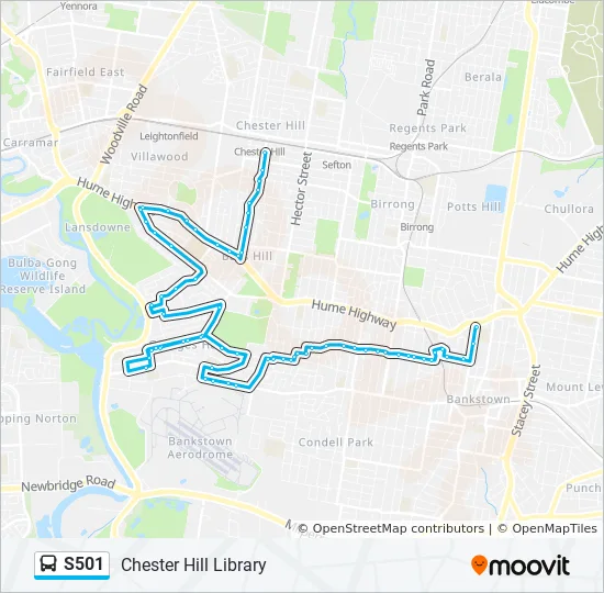 Chester Hill Sydney Map S501 Route: Schedules, Stops & Maps - Chester Hill Library (Updated)