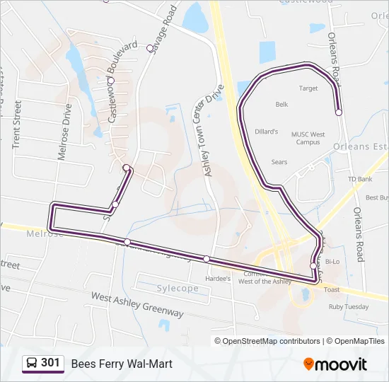 301 Bus Line Map